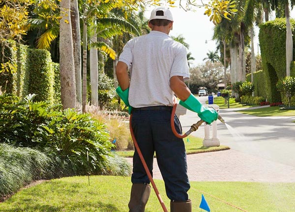 About Washington KS Pest Control